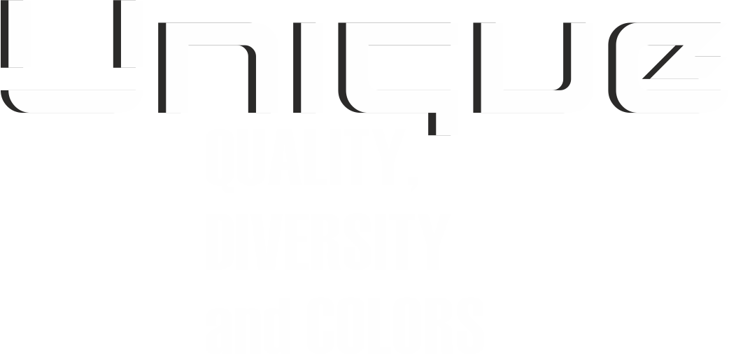 Unique Quality Diversity and Colors Logo