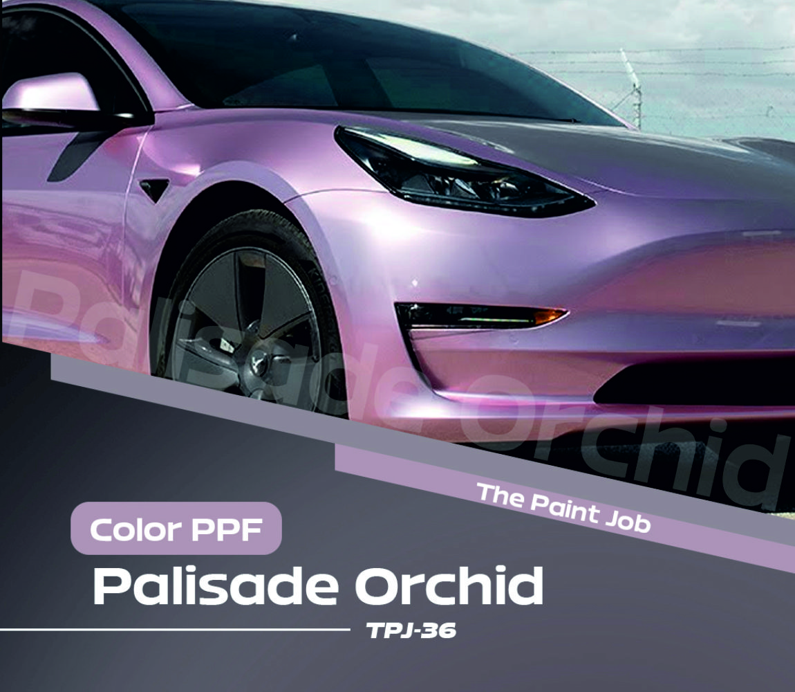 palisade orchid - the paint job